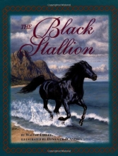 Cover art for The Black Stallion