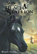 Cover art for Son of the Black Stallion