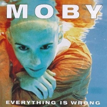 Cover art for Everything Is Wrong