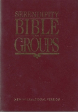Cover art for Serendipity Bible for Groups