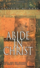 Cover art for Abide In Christ