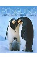 Cover art for Penguins: Lifestyle - Habitat - Feeding - Behavior