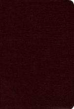 Cover art for Student Bible (New International Version)