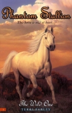 Cover art for The Wild One (Phantom Stallion #1)