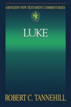 Cover art for Abingdon New Testament Commentary - Luke (Abingdon New Testament Commentaries)