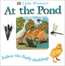 Cover art for At the Pond (Little Windows)