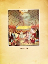 Cover art for Shelter (1st Edition)