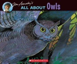 Cover art for All About Owls