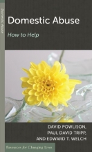 Cover art for Domestic Abuse: How to Help (Resources for Changing Lives)
