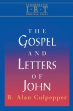 Cover art for Interpreting Biblical Texts Series - The Gospel and Letters of John