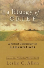 Cover art for A Liturgy of Grief: A Pastoral Commentary on Lamentations
