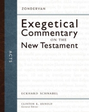 Cover art for Acts (Zondervan Exegetical Commentary on the New Testament)