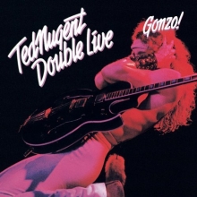 Cover art for Double Live Gonzo