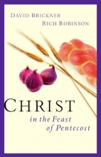 Cover art for Christ in the Feast of Pentecost
