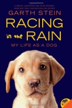 Cover art for Racing in the Rain: My Life as a Dog