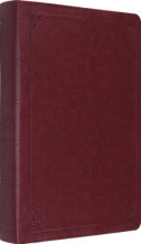Cover art for ESV Verse-by-Verse Reference Bible (TruTone, Burgundy, Frame Design)