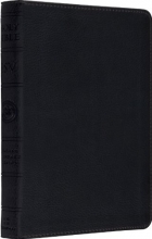 Cover art for ESV Large Print Compact Bible (TruTone, Charcoal)