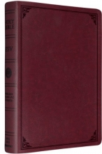 Cover art for ESV Single Column Legacy Bible (TruTone Burgundy, Frame Design)