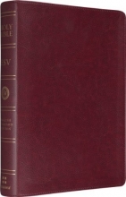 Cover art for ESV Large Print Bible (TruTone, Burgundy)