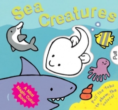 Cover art for A Mini Magic Color Book: Sea Creatures