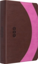 Cover art for ESV Student Study Bible (TruTone, Brown/Pink, Arc Design)