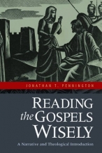 Cover art for Reading the Gospels Wisely: A Narrative and Theological Introduction