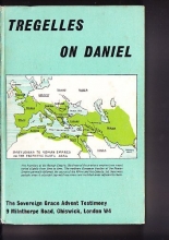 Cover art for Remarks on the prophetic visions in the Book of Daniel