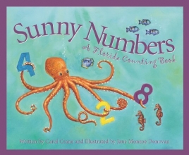 Cover art for Sunny Numbers: A Florida Counting Book (America by the Numbers)