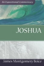 Cover art for Joshua (Expositional Commentary)
