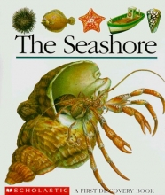 Cover art for The Seashore (First Discovery Books)