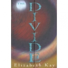 Cover art for The Divide