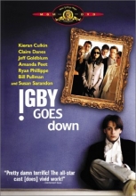Cover art for Igby Goes Down