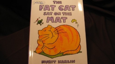 Cover art for The Fat Cat Sat On The Mat [[Hardcover] 20050