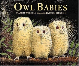 Cover art for Owl Babies