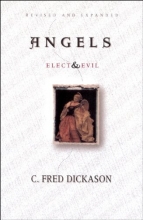 Cover art for Angels Elect and Evil