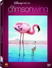 Cover art for Disneynature: The Crimson Wing - Mystery of Flamingos