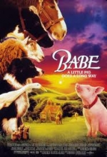 Cover art for Babe 