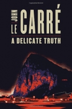 Cover art for A Delicate Truth: A Novel