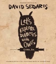 Cover art for Let's Explore Diabetes with Owls