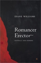 Cover art for Romancer Erector (American Literature (Dalkey Archive))