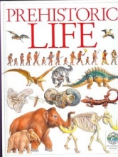 Cover art for Prehistoric Life (See & Explore Library)