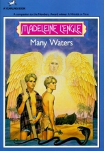 Cover art for Many Waters (Time Quartet, Bk. 4)