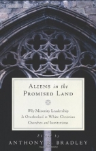 Cover art for Aliens in the Promised Land: Why Minority Leadership Is Overlooked in White Christian Churches and Institutions