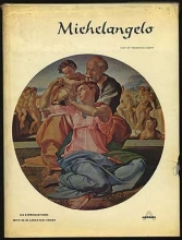Cover art for Michelangelo, the painter.