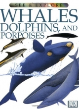 Cover art for Whales, Dolphins and Porpoises (See and Explore Library)