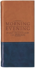 Cover art for Morning and Evening - Matt Tan/Blue
