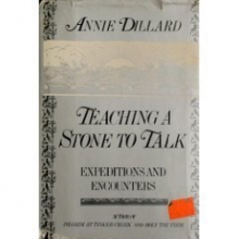 Cover art for Teaching a Stone to Talk