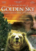 Cover art for In Search of a Golden Sky