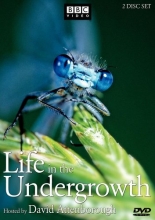Cover art for Life in the Undergrowth