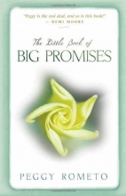 Cover art for The Little Book of Big Promises